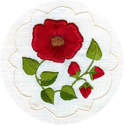 Surface Embroidery